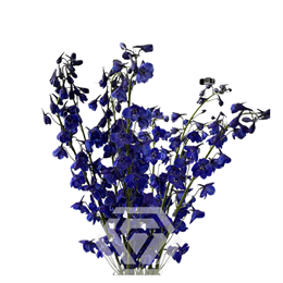 Дельфиниум-Delphinium-Sea Waltz-90cm-TA 09e85ed6-5d9a-11f1-0a80-16b0007d05ae
